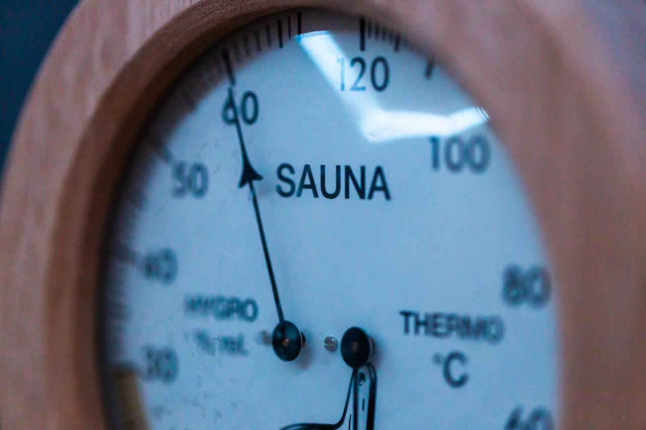 Loft Mit Whirlpool Sauna Kino Naehe Wolfsburg Helmstedt